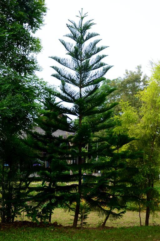 Pai Loess Resort Bagian luar foto