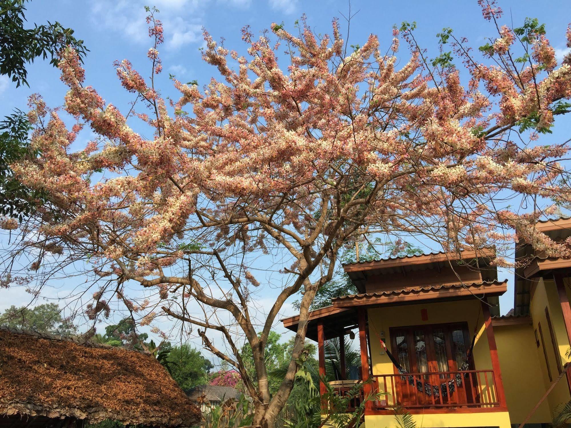 Pai Loess Resort Bagian luar foto